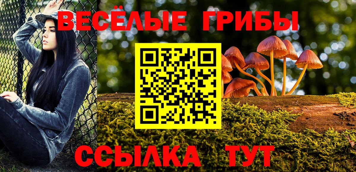 Галлюциногенные грибы Psilocybe  Вход с VPN  Вятские Поляны 